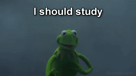 i should study